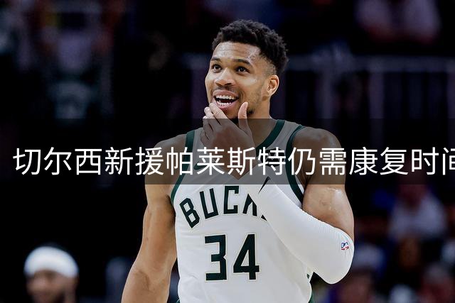 切尔西新援帕莱斯特仍需康复时间 将缺席对战阿森纳关键战